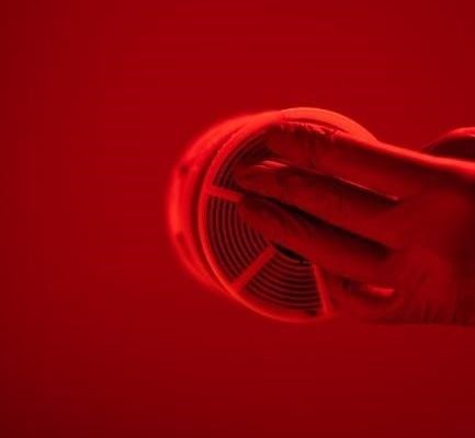 reel-4 scoring manual pdf