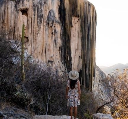 recetas de aguas frescas para negocio pdf