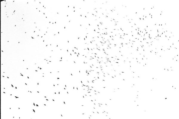 honeywell t4 thermostat manual pdf