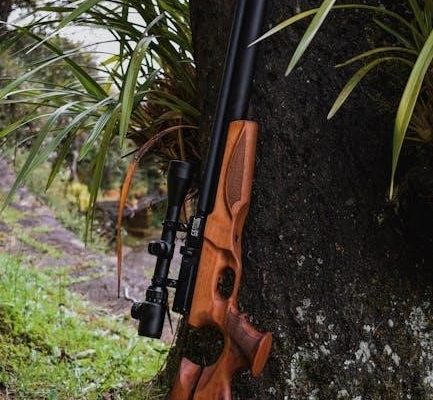 imse scope and sequence pdf