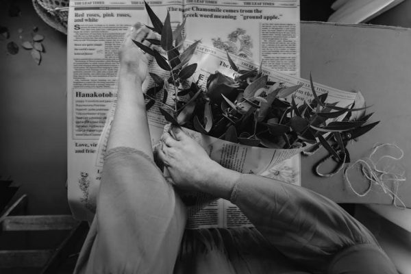 interpreter of maladies short story pdf