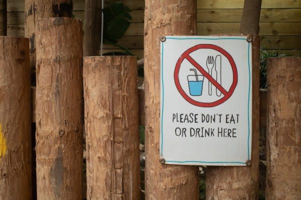 the summer of broken rules pdf