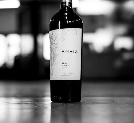 2010 chrysler town and country manual