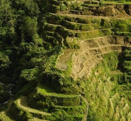 elite rice cooker instructions