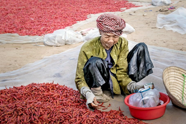 dri eaz drizair 1200 dehumidifier manual