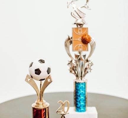 stick of truth trophy guide